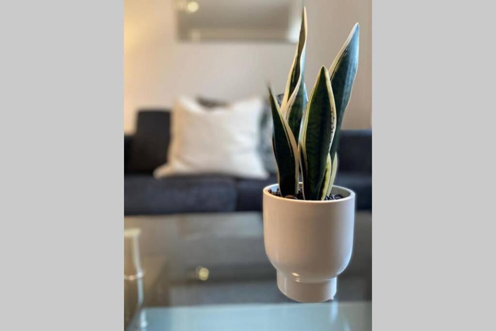 Alicia Newport By Mia Living 2 Bedroom Apartment With Dedicated Parking Esterno foto